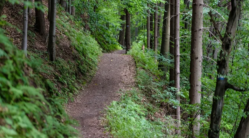 Hiking trails - Pine Creek Cabin