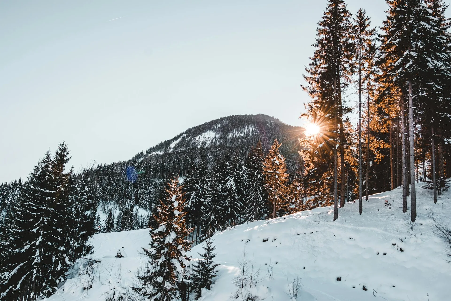 Skimountain - Pine Creek Cabin